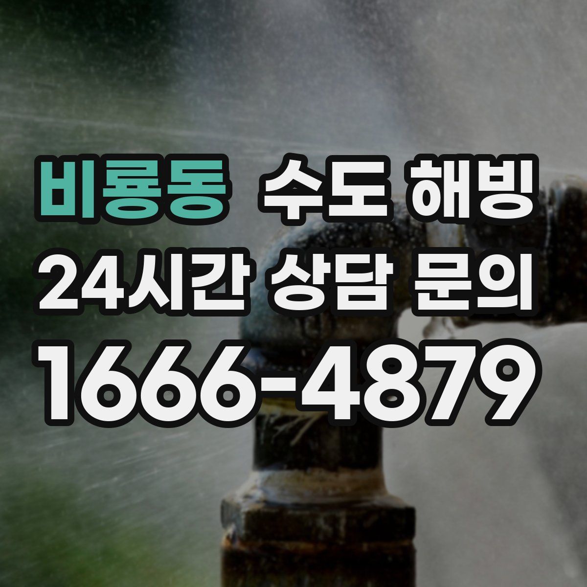 비룡동 수도 해빙