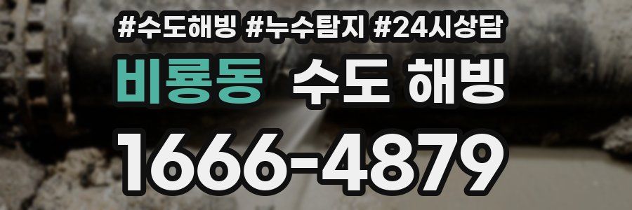 비룡동 수도 해빙