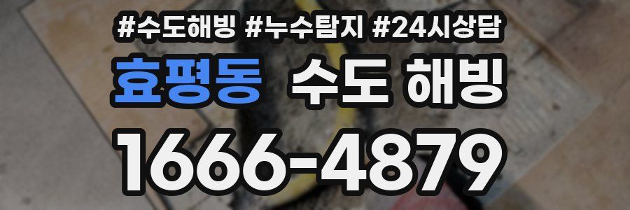 효평동 수도 해빙