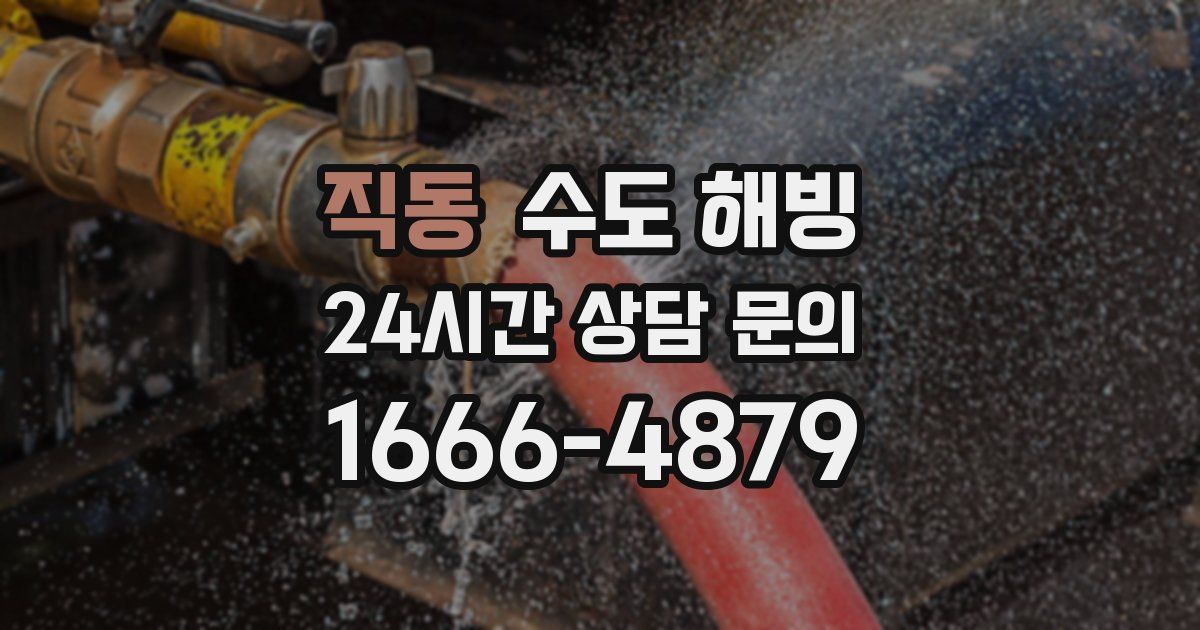 직동 수도 해빙