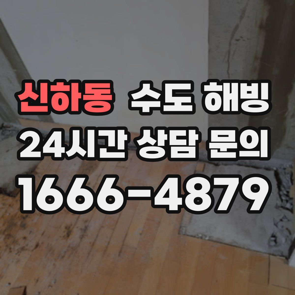 신하동 수도 해빙