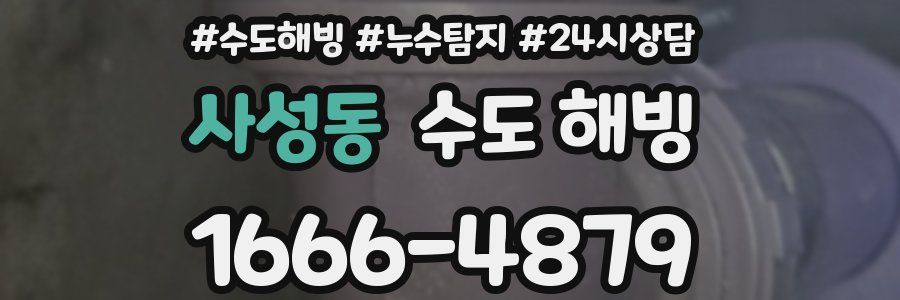 사성동 수도 해빙