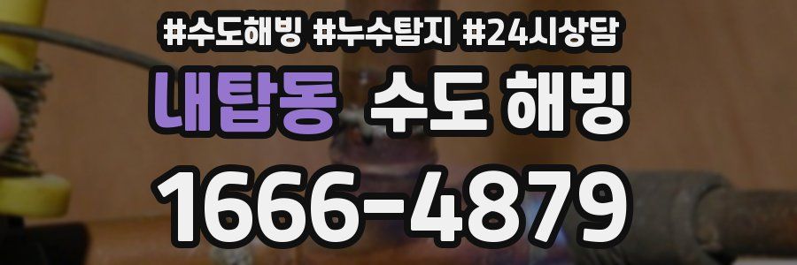 내탑동 수도 해빙