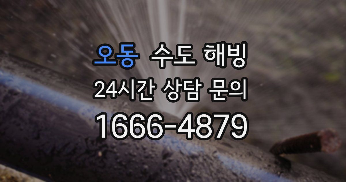 오동 수도 해빙