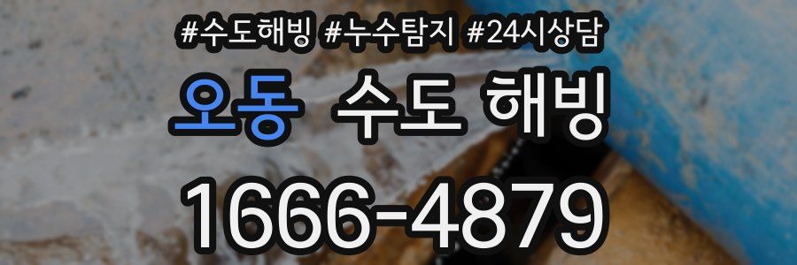 오동 수도 해빙