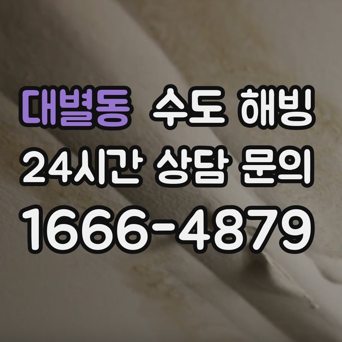 대별동 수도 해빙