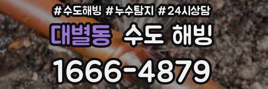 대별동 수도 해빙