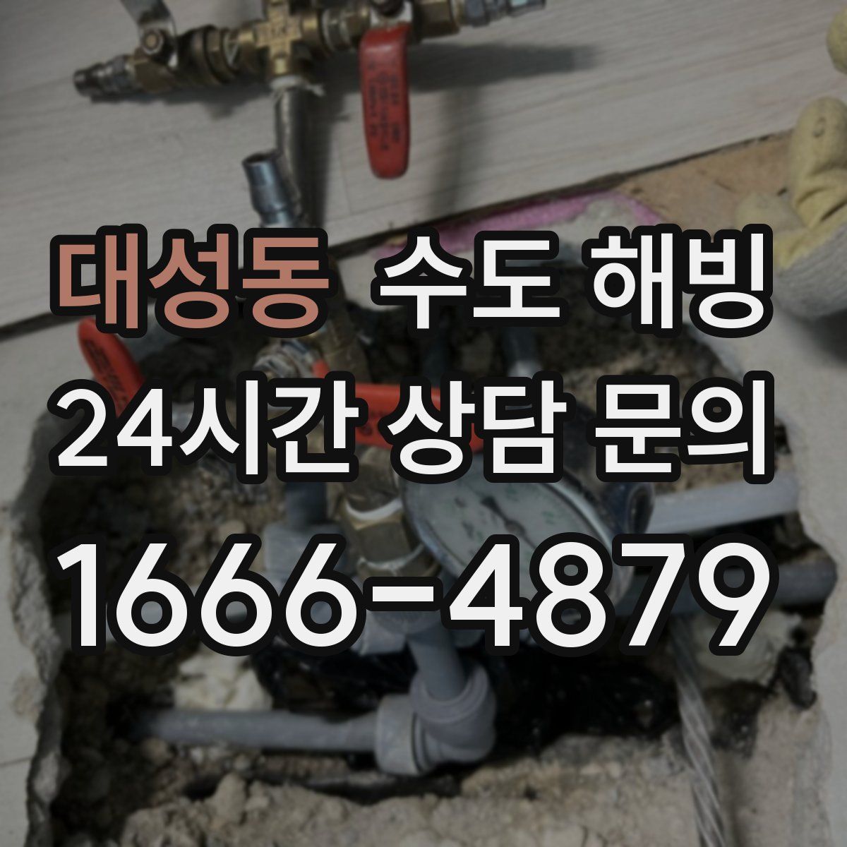 대성동 수도 해빙