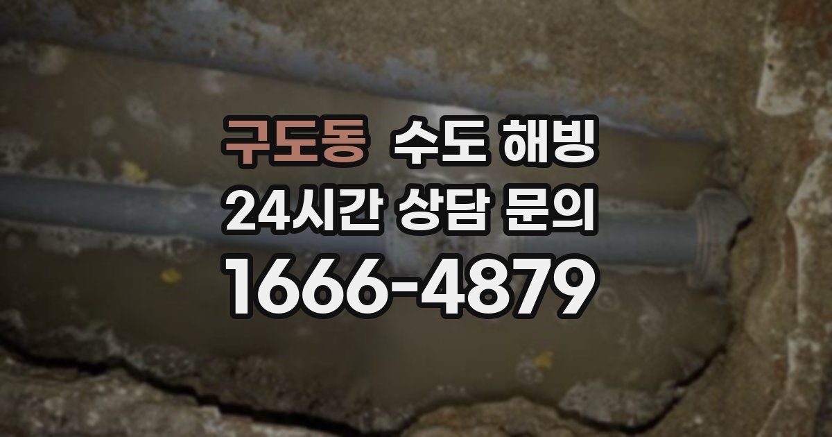 구도동 수도 해빙