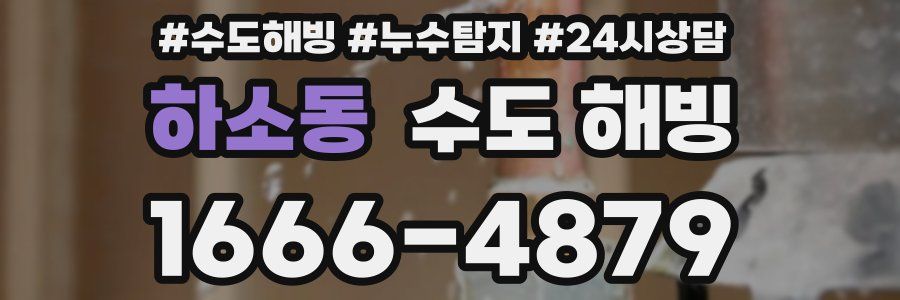 하소동 수도 해빙