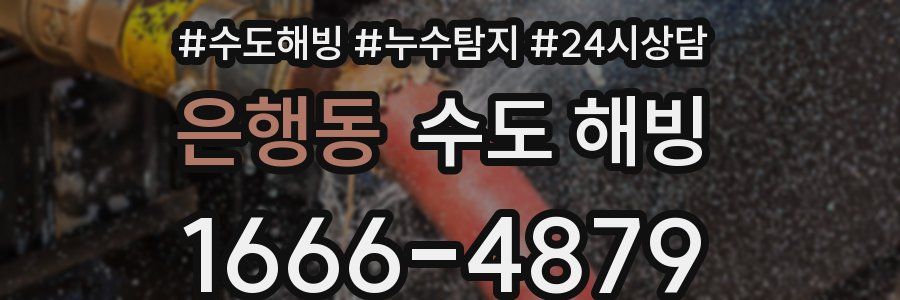 은행동 수도 해빙