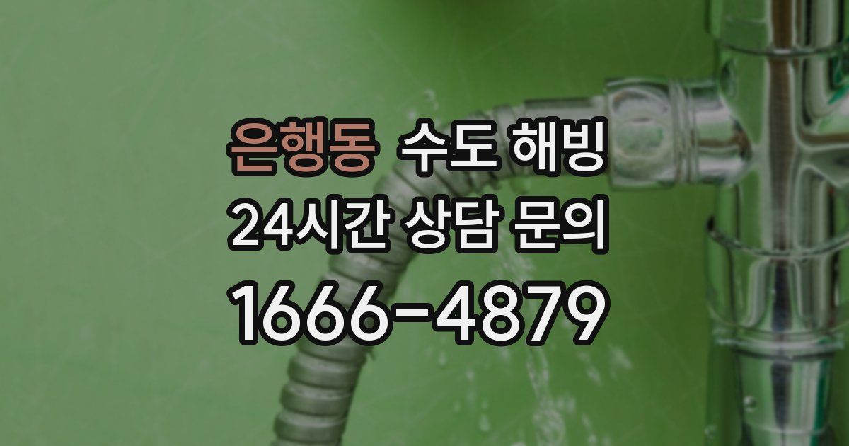 은행동 수도 해빙