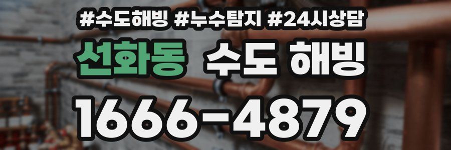 선화동 수도 해빙