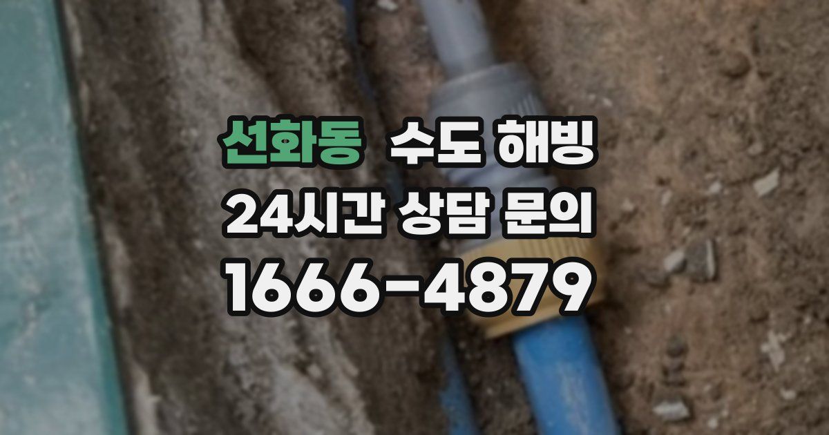 선화동 수도 해빙