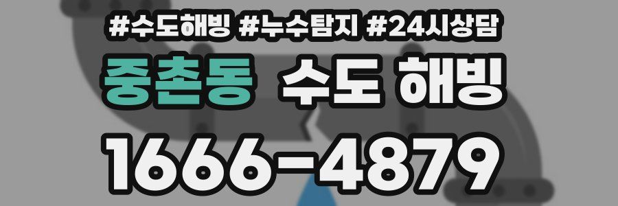 중촌동 수도 해빙