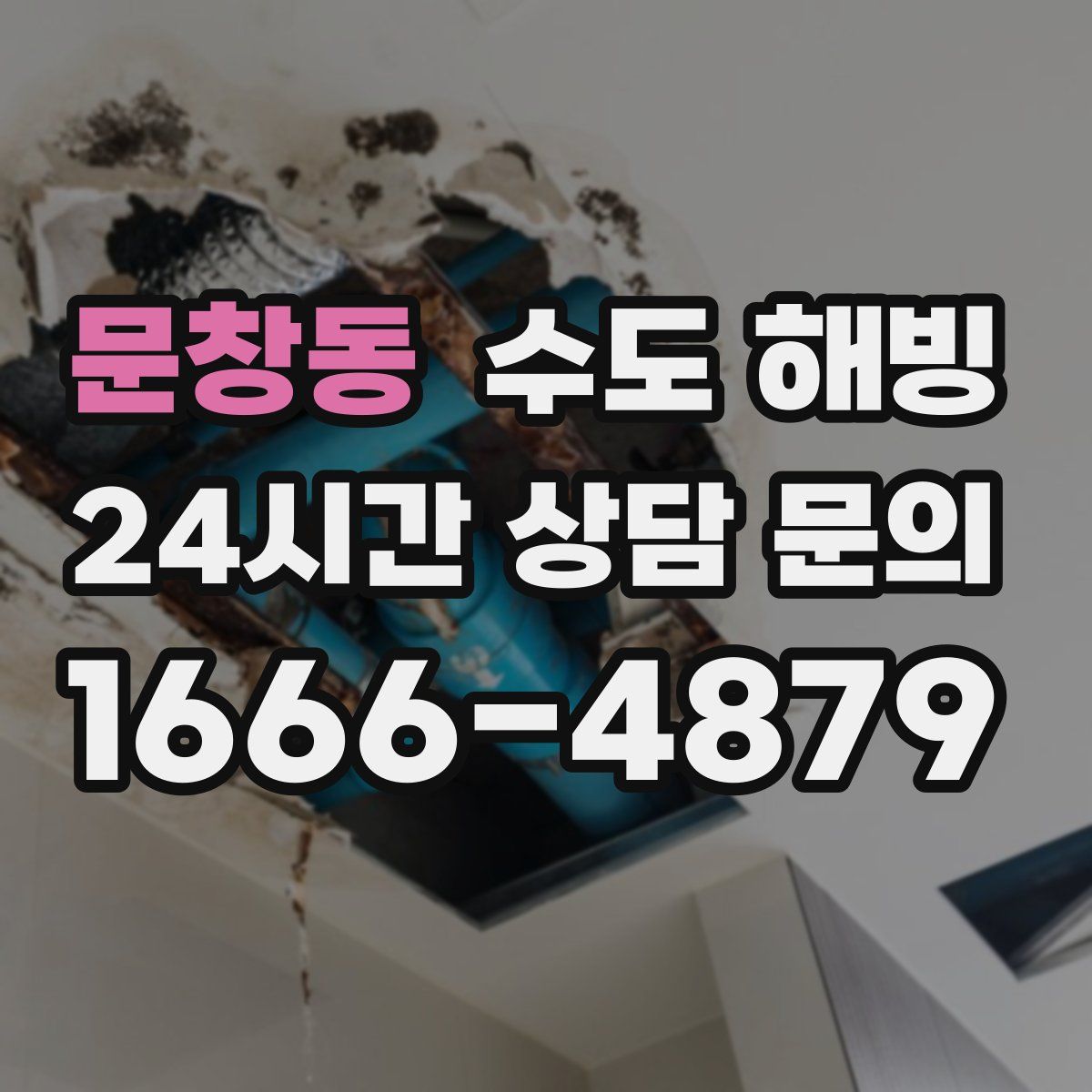 문창동 수도 해빙