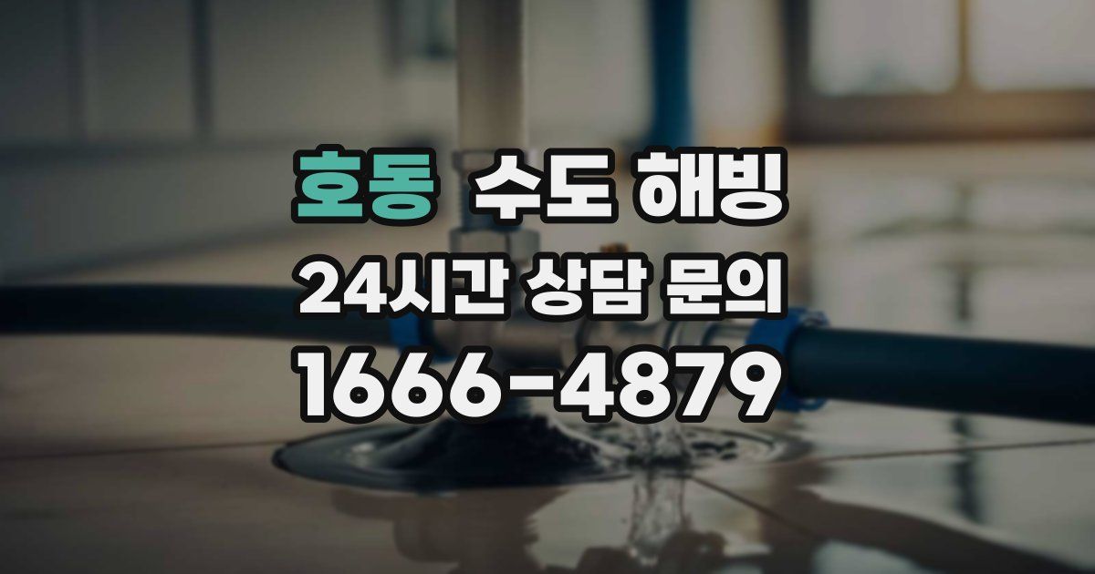 호동 수도 해빙