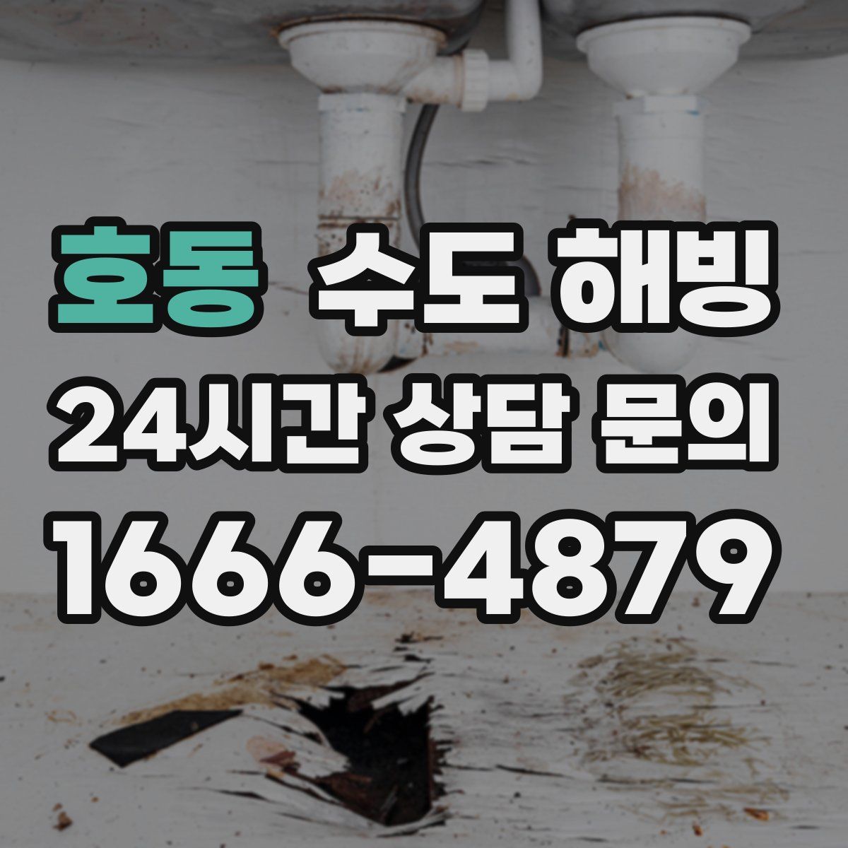 호동 수도 해빙