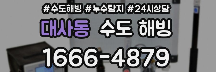 대사동 수도 해빙