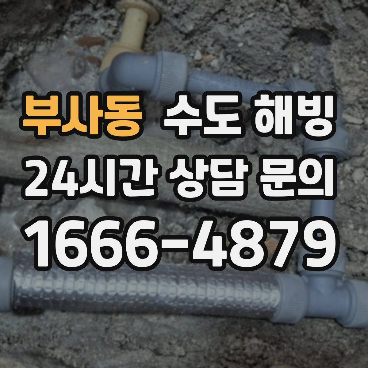 부사동 수도 해빙