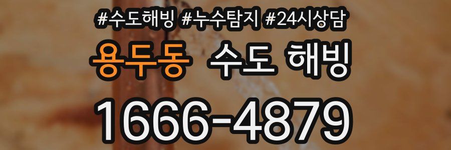 용두동 수도 해빙