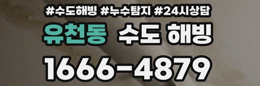 유천동 수도 해빙