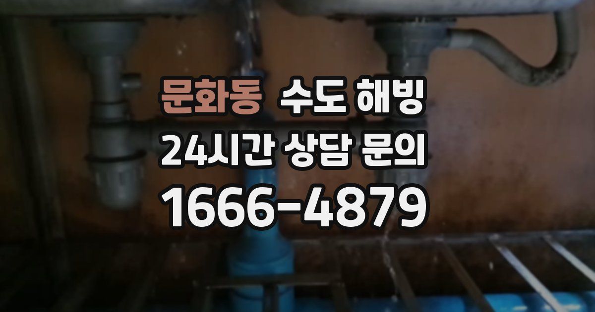 문화동 수도 해빙