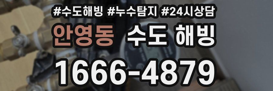 안영동 수도 해빙