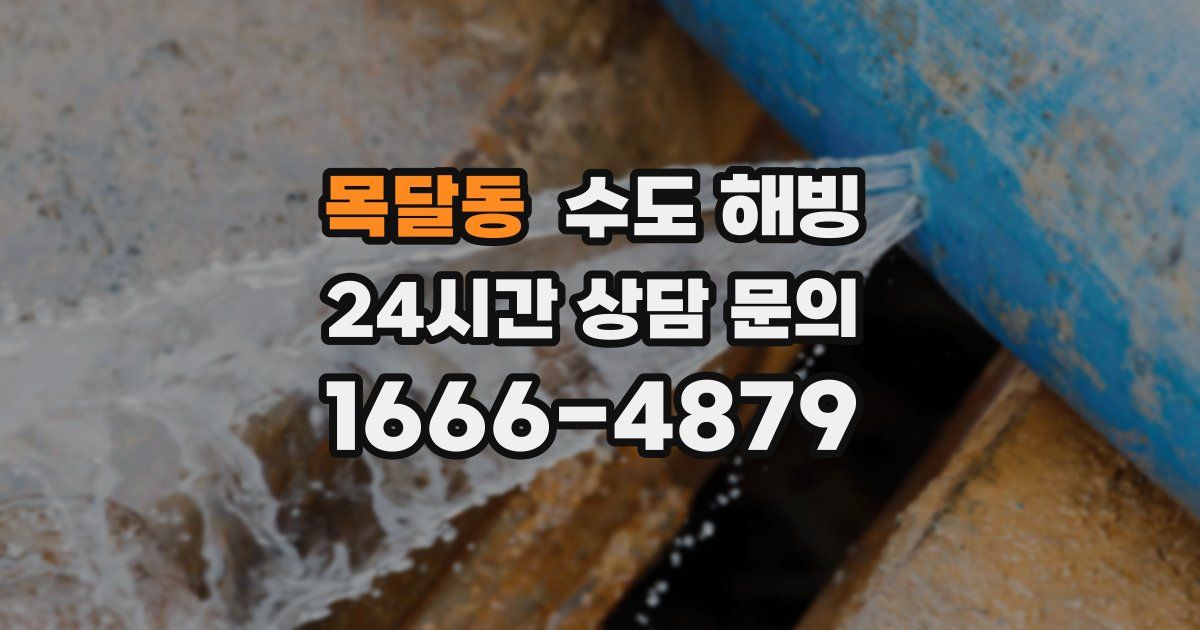 목달동 수도 해빙