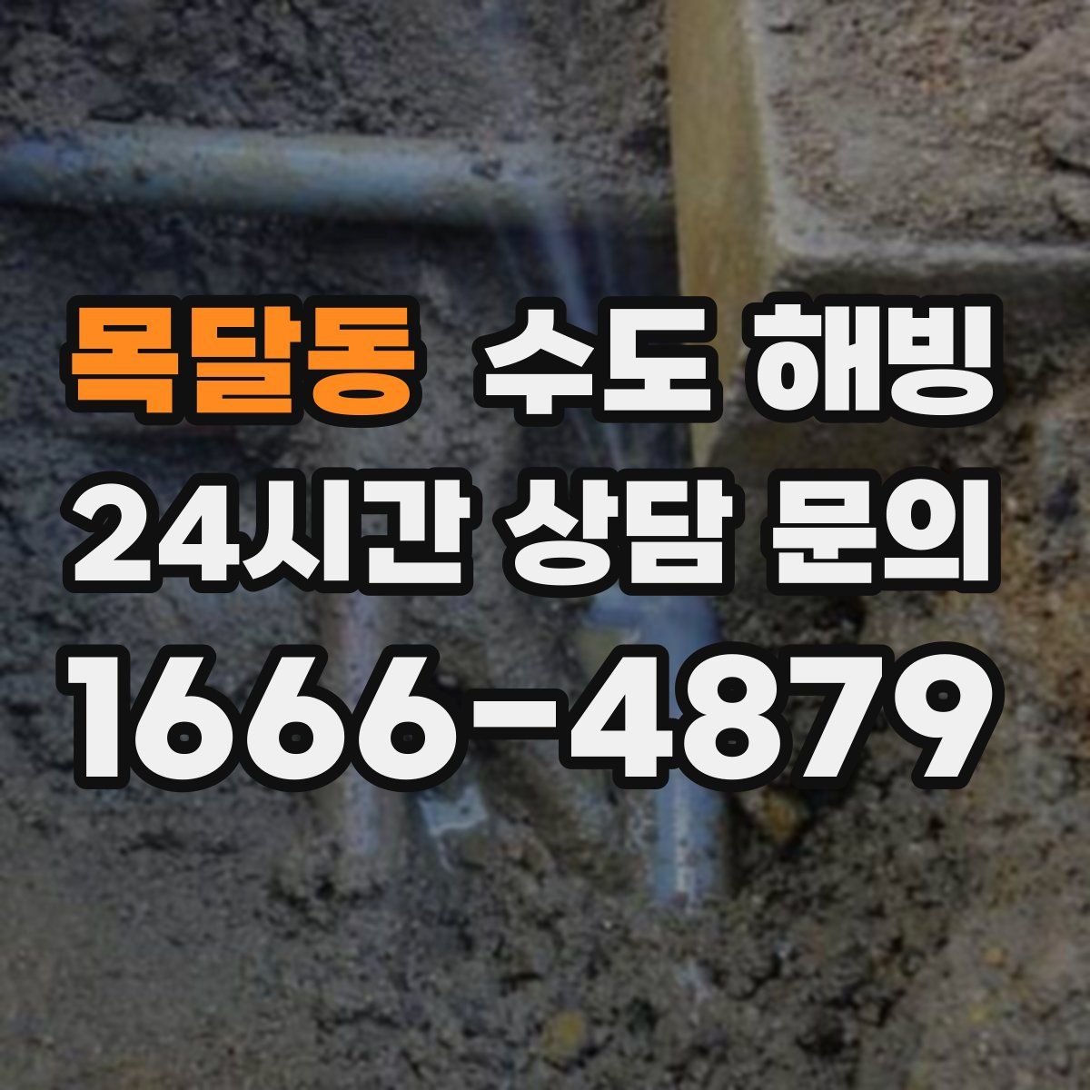 목달동 수도 해빙