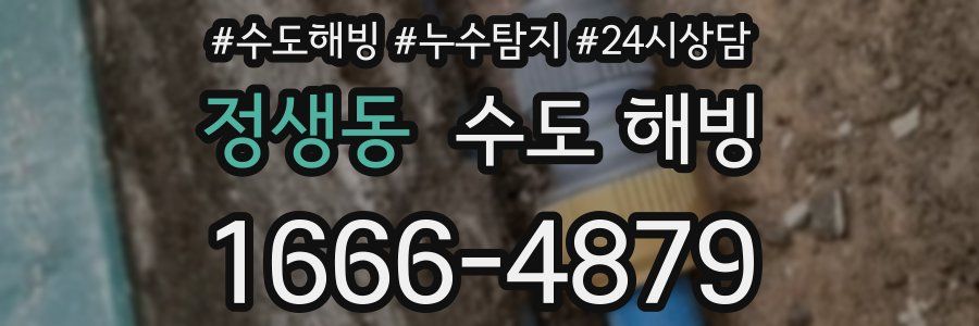 정생동 수도 해빙