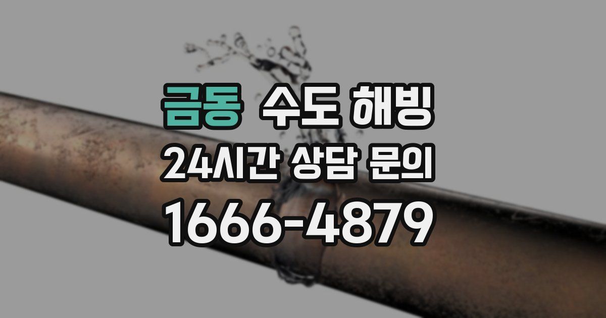 금동 수도 해빙