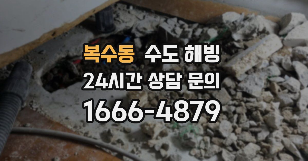 복수동 수도 해빙