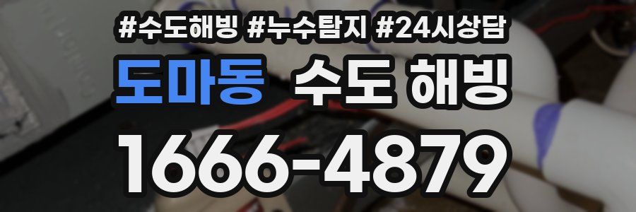 도마동 수도 해빙