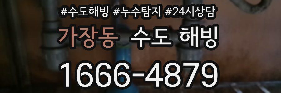 가장동 수도 해빙