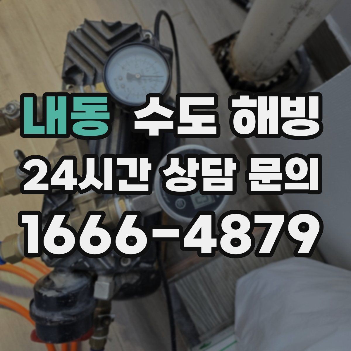 내동 수도 해빙 집에서 할 수 있는 범위와 한계
