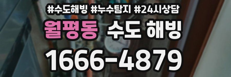 월평동 수도 해빙