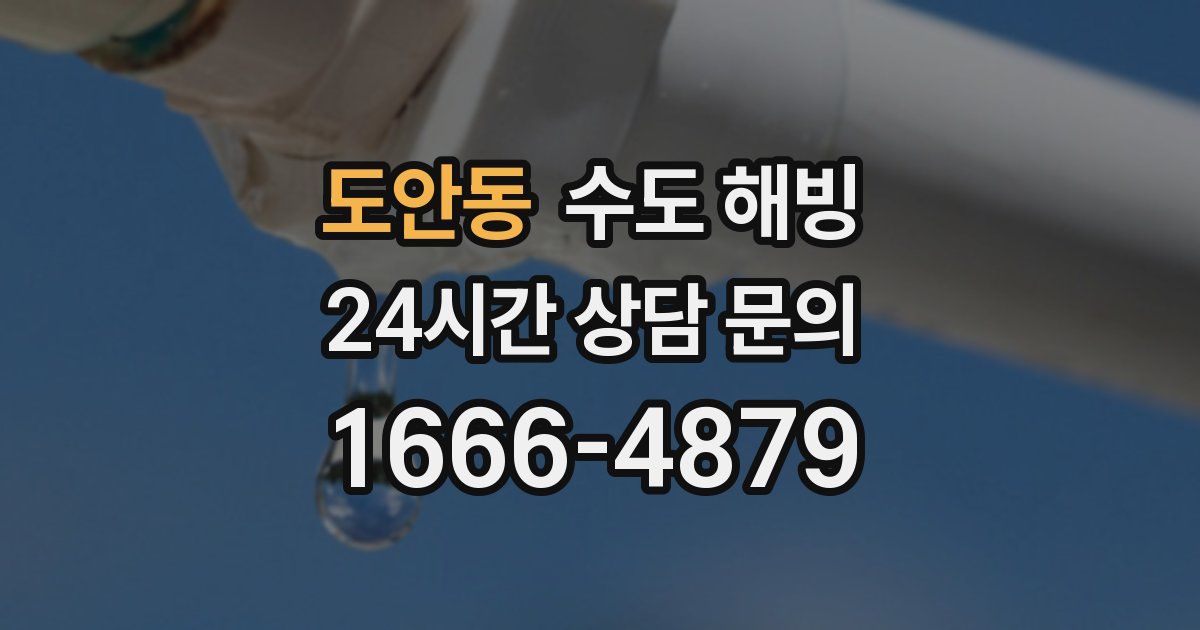 도안동 수도 해빙