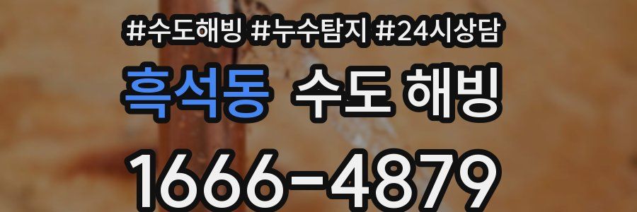 흑석동 수도 해빙