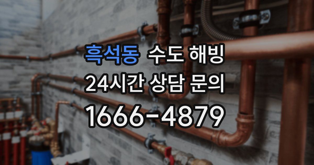 흑석동 수도 해빙