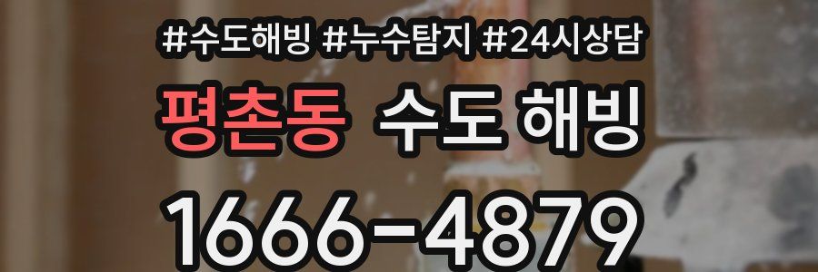 평촌동 수도 해빙