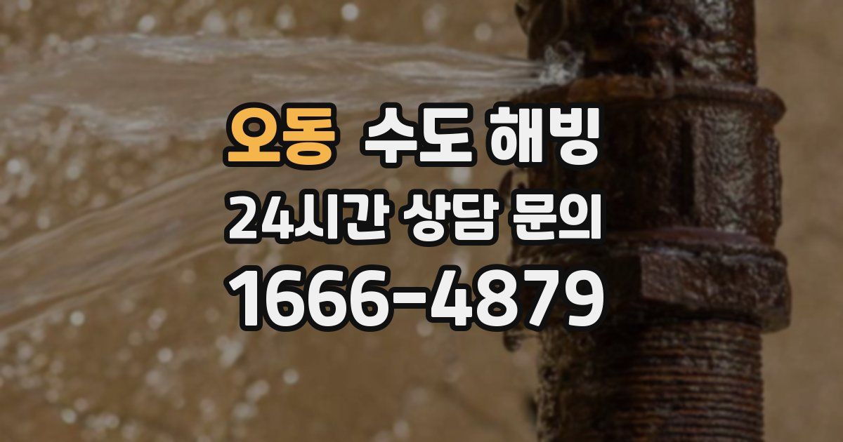 오동 수도 해빙