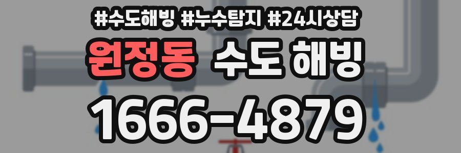 원정동 수도 해빙
