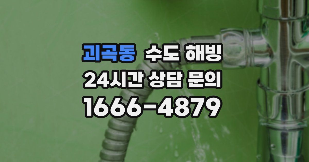 괴곡동 수도 해빙