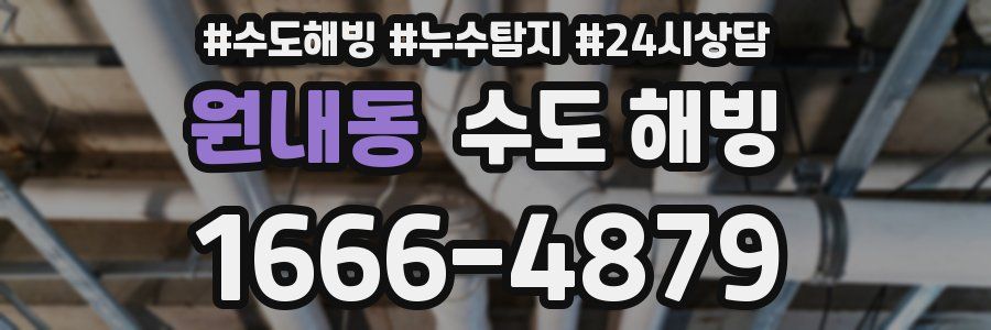 원내동 수도 해빙