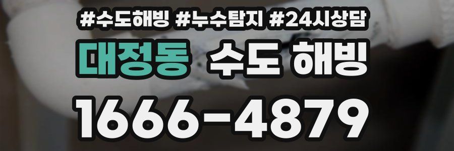 대정동 수도 해빙