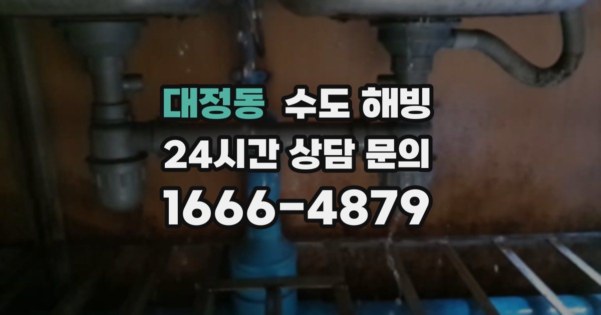 대정동 수도 해빙