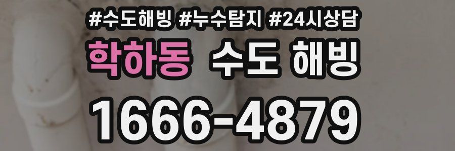 학하동 수도 해빙