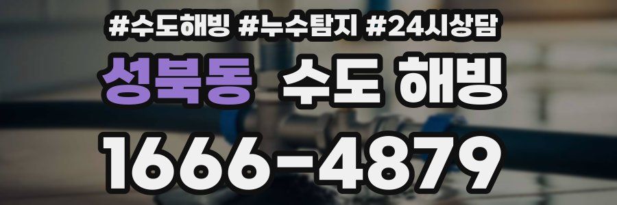 성북동 수도 해빙