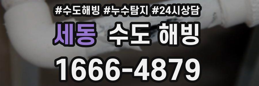 세동 수도 해빙